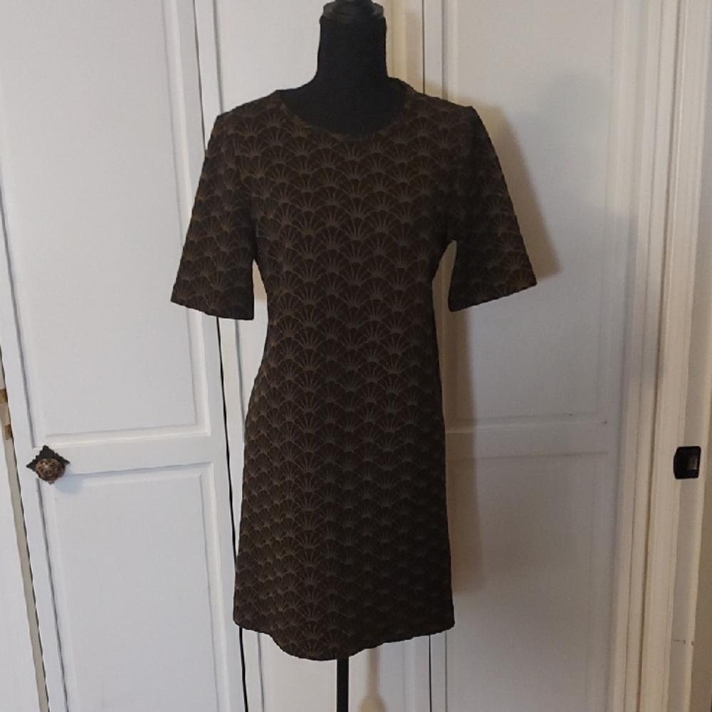 Loft Shift Dress Black And Brown Size M Petite Short Sleeve